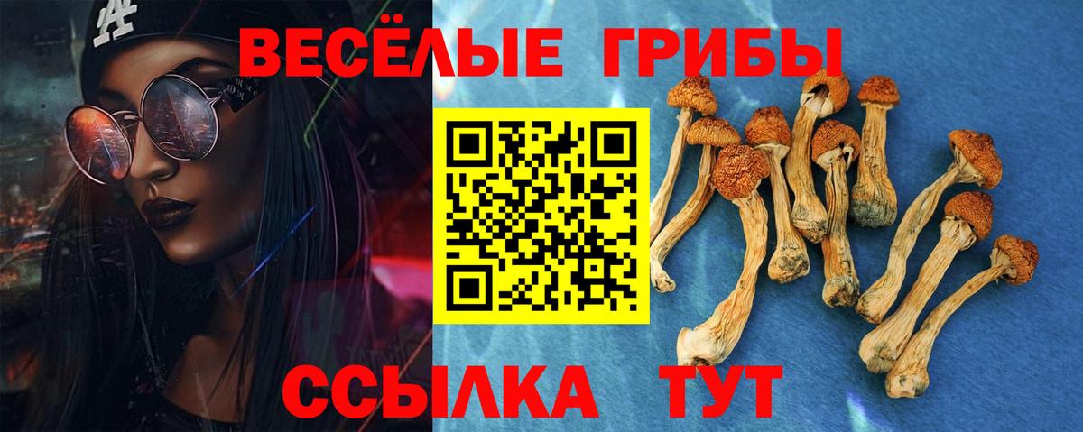Псилоцибиновые грибы MAGIC MUSHROOMS Нововоронеж