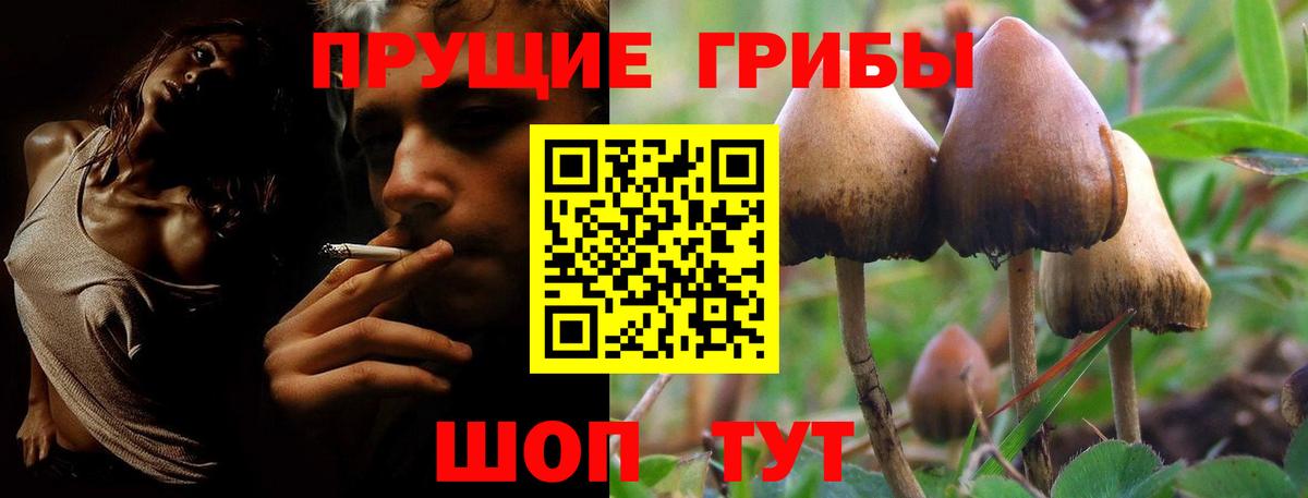 Нововоронеж  Галлюциногенные грибы Psilocybe  сколько стоит  Вход с VPN  Псилоцибиновые грибы прущие грибы 