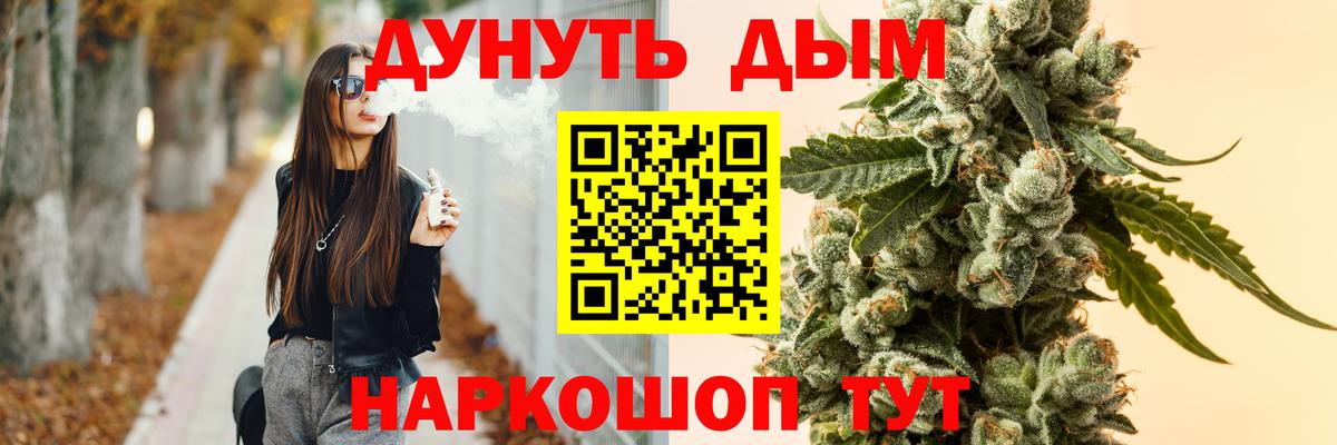 Бошки Шишки сатива  Бошки марихуана конопля  Марихуана планчик  Вход с VPN  Нововоронеж 